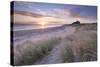 Sunrise over Bamburgh Beach and Castle from the Sand Dunes, Northumberland, England. Spring (March)-Adam Burton-Stretched Canvas