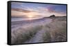 Sunrise over Bamburgh Beach and Castle from the Sand Dunes, Northumberland, England. Spring (March)-Adam Burton-Framed Stretched Canvas