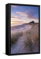 Sunrise over Bamburgh Beach and Castle from the Sand Dunes, Northumberland, England. Spring (March)-Adam Burton-Framed Stretched Canvas