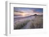 Sunrise over Bamburgh Beach and Castle from the Sand Dunes, Northumberland, England. Spring (March)-Adam Burton-Framed Premium Photographic Print