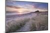 Sunrise over Bamburgh Beach and Castle from the Sand Dunes, Northumberland, England. Spring (March)-Adam Burton-Mounted Premium Photographic Print