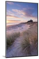 Sunrise over Bamburgh Beach and Castle from the Sand Dunes, Northumberland, England. Spring (March)-Adam Burton-Mounted Photographic Print