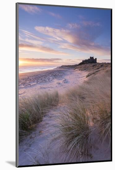 Sunrise over Bamburgh Beach and Castle from the Sand Dunes, Northumberland, England. Spring (March)-Adam Burton-Mounted Photographic Print