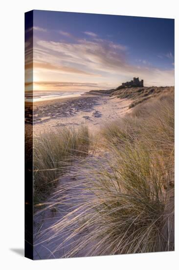 Sunrise over Bamburgh Castle, Northumberland, England. Spring-Adam Burton-Stretched Canvas