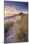 Sunrise over Bamburgh Castle, Northumberland, England. Spring-Adam Burton-Mounted Photographic Print