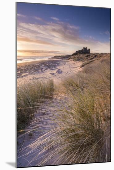 Sunrise over Bamburgh Castle, Northumberland, England. Spring-Adam Burton-Mounted Photographic Print