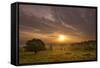 Sunrise over Beacon Hill Country Park, the National Forest, Leicestershire, UK, October-Ben Hall-Framed Stretched Canvas