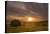 Sunrise over Beacon Hill Country Park, the National Forest, Leicestershire, UK, October-Ben Hall-Stretched Canvas