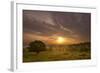 Sunrise over Beacon Hill Country Park, the National Forest, Leicestershire, UK, October-Ben Hall-Framed Photographic Print