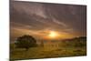 Sunrise over Beacon Hill Country Park, the National Forest, Leicestershire, UK, October-Ben Hall-Mounted Photographic Print
