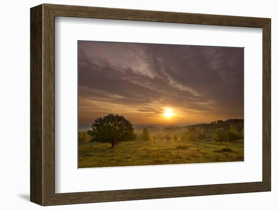 Sunrise over Beacon Hill Country Park, the National Forest, Leicestershire, UK, October-Ben Hall-Framed Photographic Print