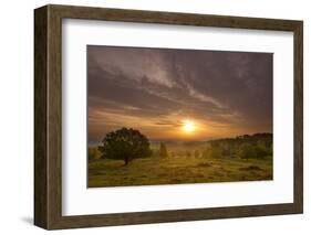 Sunrise over Beacon Hill Country Park, the National Forest, Leicestershire, UK, October-Ben Hall-Framed Photographic Print
