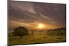 Sunrise over Beacon Hill Country Park, the National Forest, Leicestershire, UK, October-Ben Hall-Mounted Photographic Print