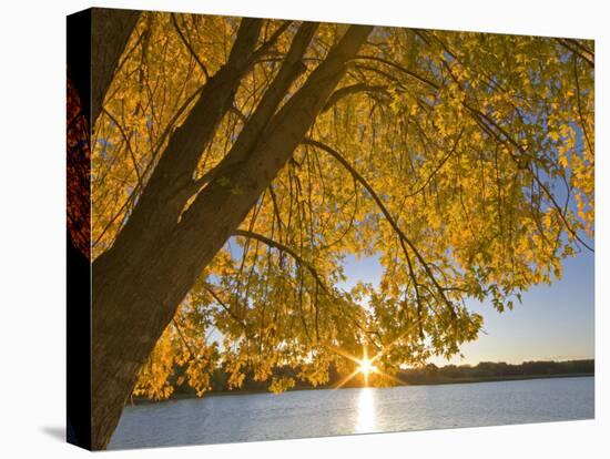 Sunrise over Black Dog Lake, Minnesota Valley NWR, Minneapolis, Minnesota, USA-Chuck Haney-Stretched Canvas