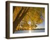 Sunrise over Black Dog Lake, Minnesota Valley NWR, Minneapolis, Minnesota, USA-Chuck Haney-Framed Photographic Print