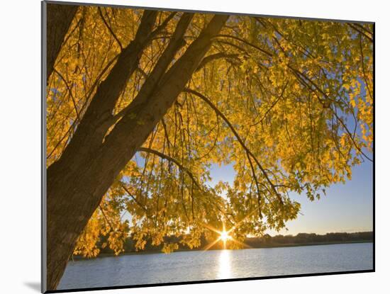 Sunrise over Black Dog Lake, Minnesota Valley NWR, Minneapolis, Minnesota, USA-Chuck Haney-Mounted Photographic Print