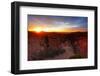 Sunrise over Bryce Canyon, Utah-Geraint Tellem-Framed Photographic Print