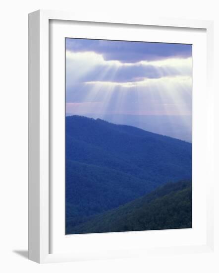 Sunrise over Buck Hollow, Shenandoah National Park, Virginia, USA-Charles Gurche-Framed Photographic Print