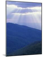Sunrise over Buck Hollow, Shenandoah National Park, Virginia, USA-Charles Gurche-Mounted Photographic Print