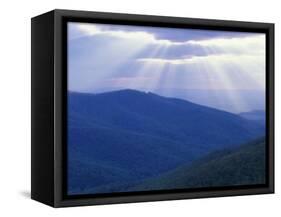 Sunrise over Buck Hollow, Shenandoah National Park, Virginia, USA-Charles Gurche-Framed Stretched Canvas