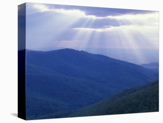 Sunrise over Buck Hollow, Shenandoah National Park, Virginia, USA-Charles Gurche-Stretched Canvas