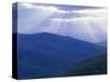 Sunrise over Buck Hollow, Shenandoah National Park, Virginia, USA-Charles Gurche-Stretched Canvas