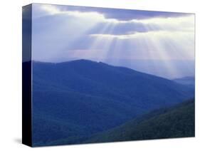 Sunrise over Buck Hollow, Shenandoah National Park, Virginia, USA-Charles Gurche-Stretched Canvas