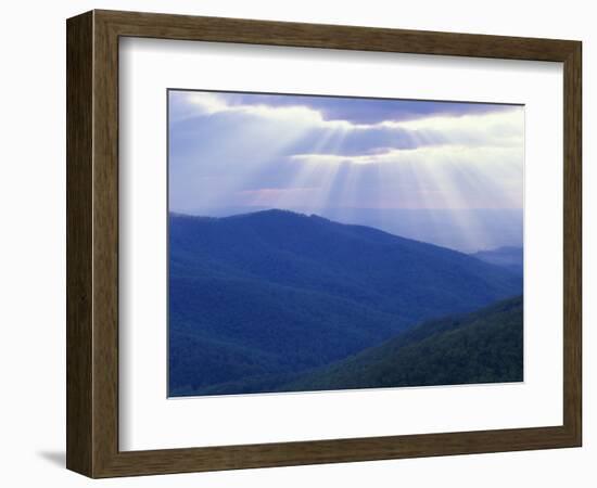 Sunrise over Buck Hollow, Shenandoah National Park, Virginia, USA-Charles Gurche-Framed Photographic Print