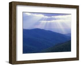 Sunrise over Buck Hollow, Shenandoah National Park, Virginia, USA-Charles Gurche-Framed Photographic Print