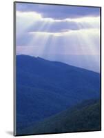 Sunrise over Buck Hollow, Shenandoah National Park, Virginia, USA-Charles Gurche-Mounted Photographic Print