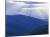 Sunrise over Buck Hollow, Shenandoah National Park, Virginia, USA-Charles Gurche-Stretched Canvas