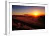 Sunrise over Cultivated Farmland (Cape Province - South Africa)-Johan Swanepoel-Framed Photographic Print