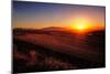 Sunrise over Cultivated Farmland (Cape Province - South Africa)-Johan Swanepoel-Mounted Photographic Print