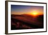 Sunrise over Cultivated Farmland (Cape Province - South Africa)-Johan Swanepoel-Framed Photographic Print