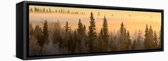 Sunrise over Fairbanks, Alaska, Usa-Christian Heeb-Framed Stretched Canvas