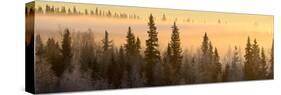 Sunrise over Fairbanks, Alaska, Usa-Christian Heeb-Stretched Canvas