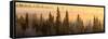 Sunrise over Fairbanks, Alaska, Usa-Christian Heeb-Framed Stretched Canvas