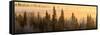 Sunrise over Fairbanks, Alaska, Usa-Christian Heeb-Framed Stretched Canvas