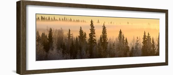 Sunrise over Fairbanks, Alaska, Usa-Christian Heeb-Framed Photographic Print