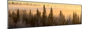 Sunrise over Fairbanks, Alaska, Usa-Christian Heeb-Mounted Photographic Print