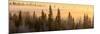 Sunrise over Fairbanks, Alaska, Usa-Christian Heeb-Mounted Photographic Print