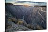 Sunrise over Gorge and Amelanchier, Gunnison River, Black Canyon National Park, Colorado.-Howie Garber-Stretched Canvas