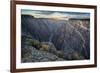 Sunrise over Gorge and Amelanchier, Gunnison River, Black Canyon National Park, Colorado.-Howie Garber-Framed Photographic Print