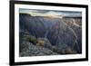 Sunrise over Gorge and Amelanchier, Gunnison River, Black Canyon National Park, Colorado.-Howie Garber-Framed Photographic Print