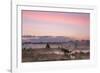 Sunrise over Klein Schietveld, Brasschaat, Belgium-Bernard Castelein-Framed Photographic Print