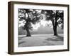 Sunrise Over Kumamoto-Jo Castle-Walter Bibikow-Framed Premium Photographic Print