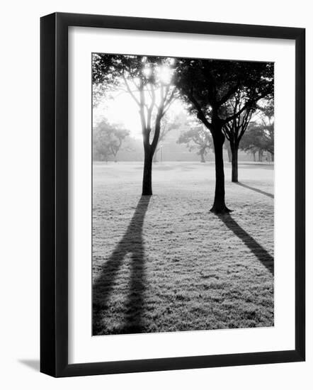 Sunrise Over Kumamoto-Jo Castle-Walter Bibikow-Framed Photographic Print