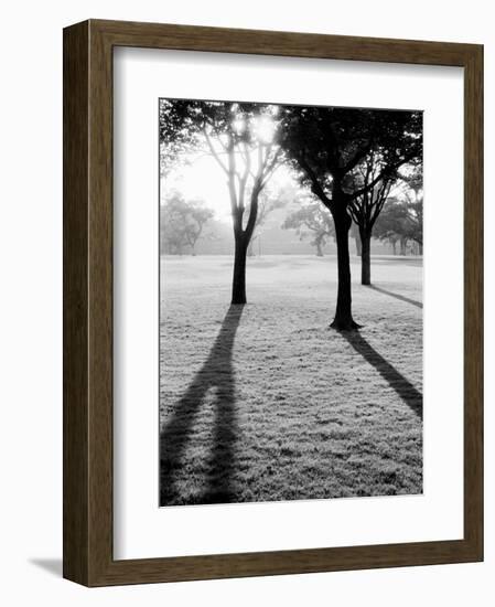 Sunrise Over Kumamoto-Jo Castle-Walter Bibikow-Framed Photographic Print