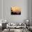 Sunrise Over Mt Hood, Portland, Oregon, USA-Janis Miglavs-Photographic Print displayed on a wall