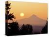 Sunrise Over Mt Hood, Portland, Oregon, USA-Janis Miglavs-Stretched Canvas